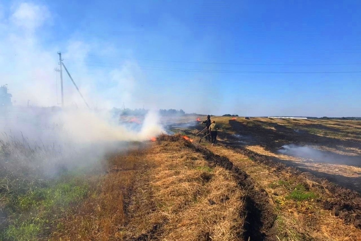 В Курской области 25 июня ожидается повышение чрезвычайной пожарной ситуации
