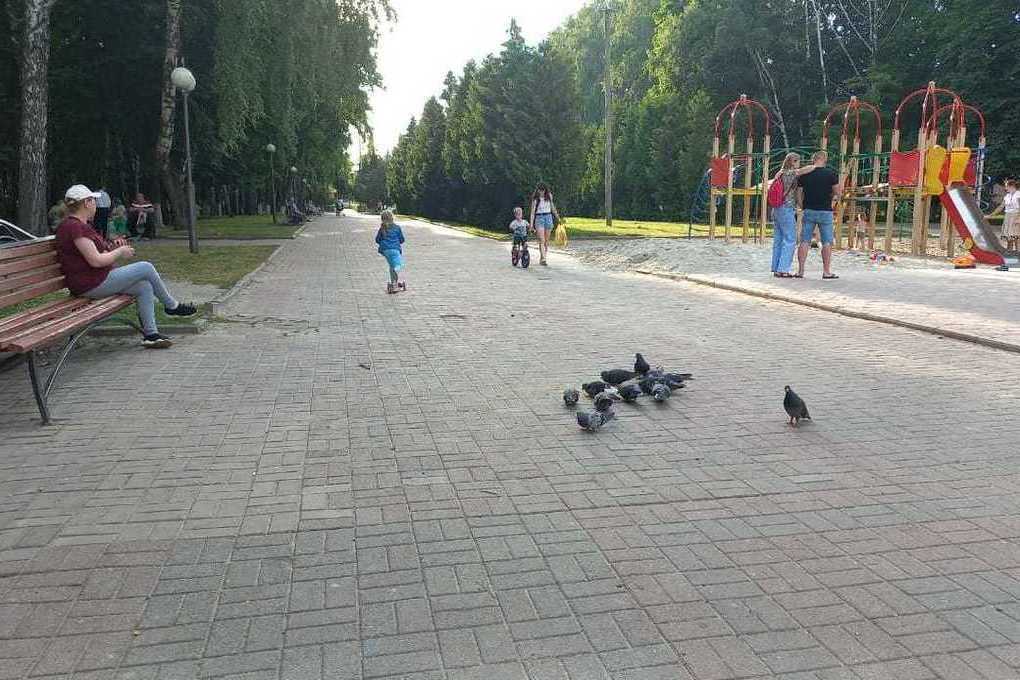В Курской области 25 июня ожидается похолодание на 7 градусов и дожди
