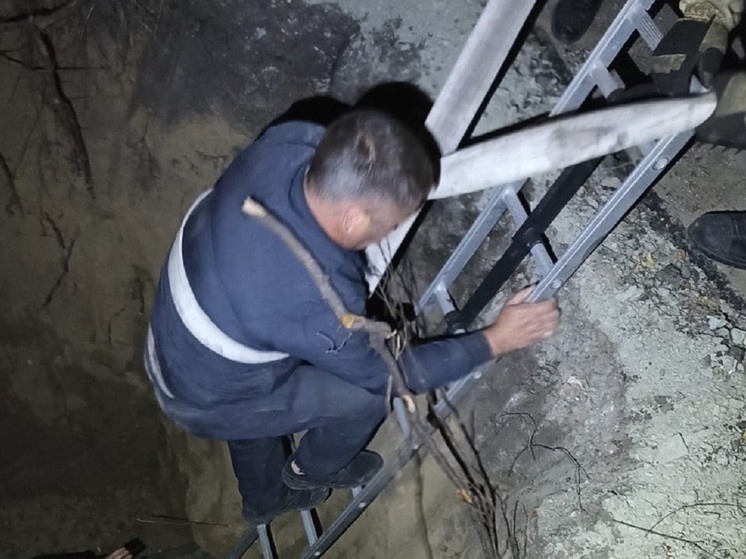 Барнаульские спасатели помогли мужчине, упавшему в глубокую яму