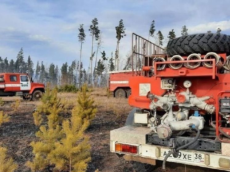 Один пожар локализовали в лесах Приангарья за сутки