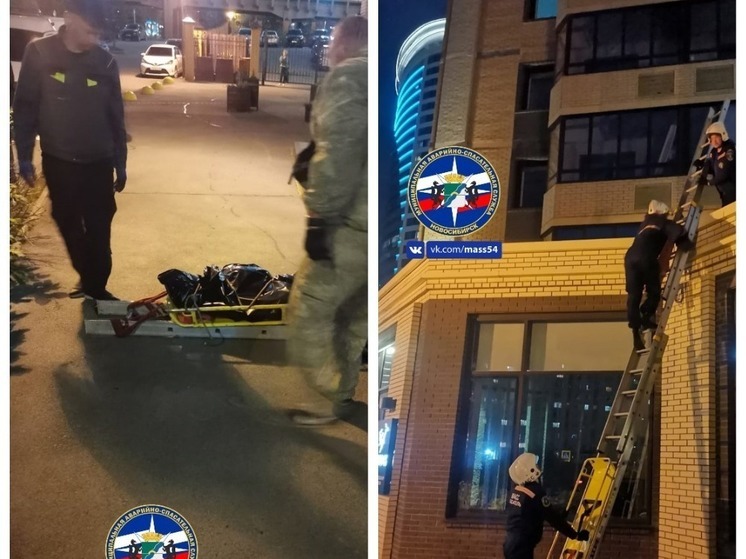 В Новосибирске мужчина выпал из окна 12 этаже на Ипподромской