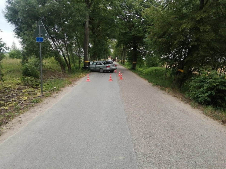 В Неманском районе Audi на скорости влетела в дерево