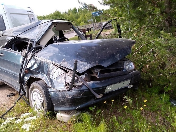 В Няндомском округе произошло смертельное ДТП