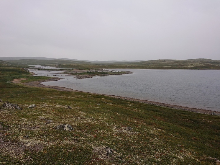 Северянам представили научные плоды «Безопасной Арктики-2023»