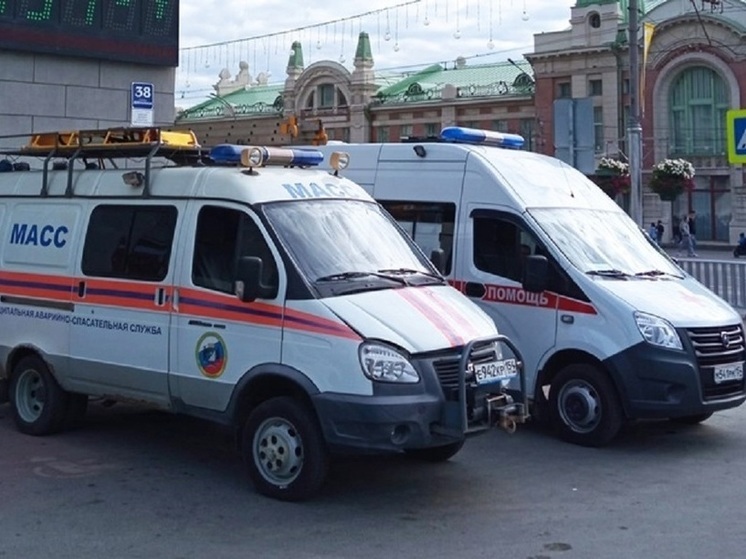 В Новосибирске спасатели заставили женщину отказаться от суицида