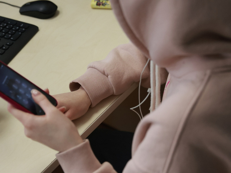 В Мурманской области проведут «Горячую линию» для выпускников
