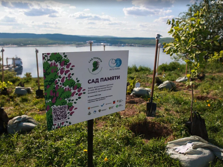 В Мурманске посадили 89 деревьев в рамках акции «‎Сад памяти»‎