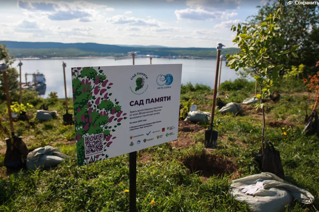 В Мурманске посадили 89 деревьев в рамках акции «‎Сад памяти»‎