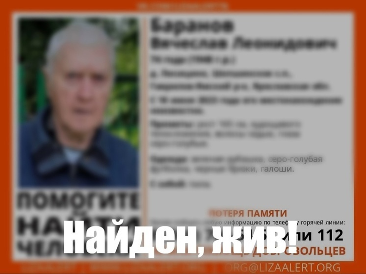 В Ярославской области волонтеры нашли заблудившегося пенсионера