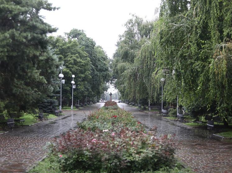 26 июня в Волгоградской области обещают кратковременные дожди при +27ºС