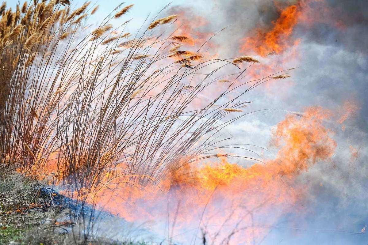МЧС предупреждает о чрезвычайной пожароопасности в Астрахани