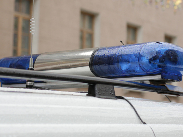 В Мурманске задержали 21-летнего вора