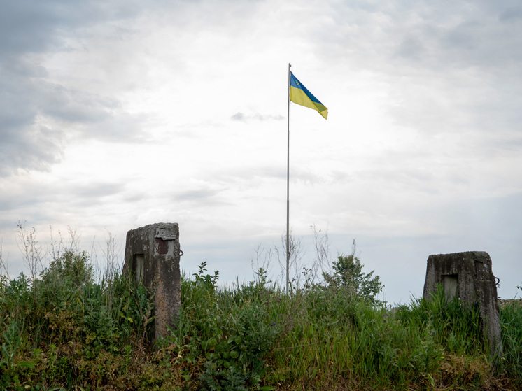 ARD: в июле могут состояться переговоры по урегулированию украинского конфликта