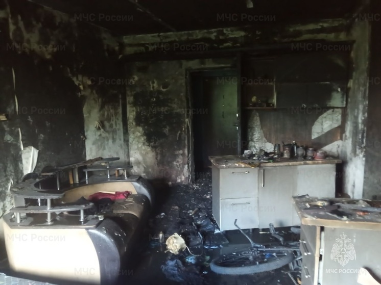 Два человека пострадали при пожарах в выходные в Чувашии
