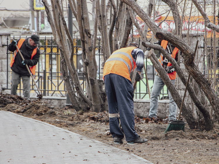 В Кольском Заполярье начнут бороться с несанкционированными свалками
