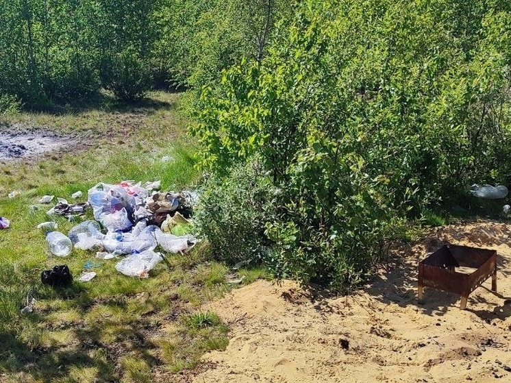 На Ямале отдыхающие снова устроили помойку в лесу после субботника