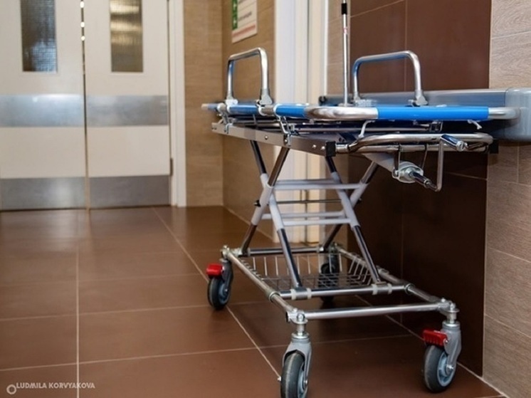 Двое подростков в Карели упали на даче с мопеда и получили травмы