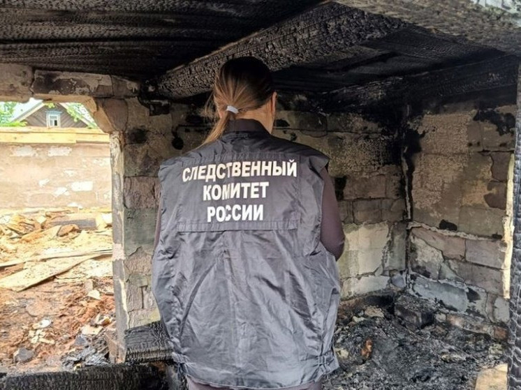 Неизвестный мужчина погиб в пожаре на ул. Жечева в Ижевске