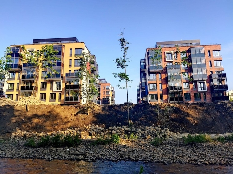 Консультант мэрии Петрозаводска пояснила в суде, почему вырубили деревья у Лососинки