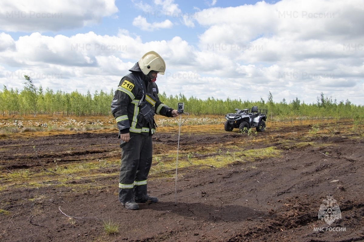 В Тверской области искали природные пожары