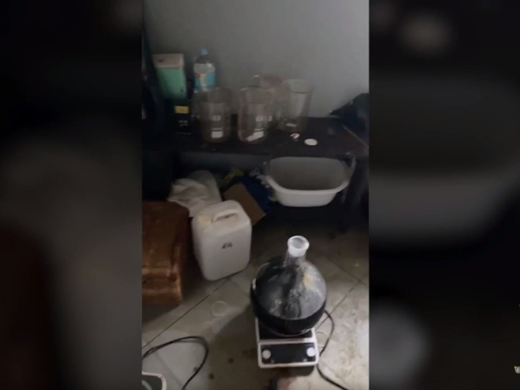 В Воронежской области пресекли деятельность подпольной деревенской нарколаборатории