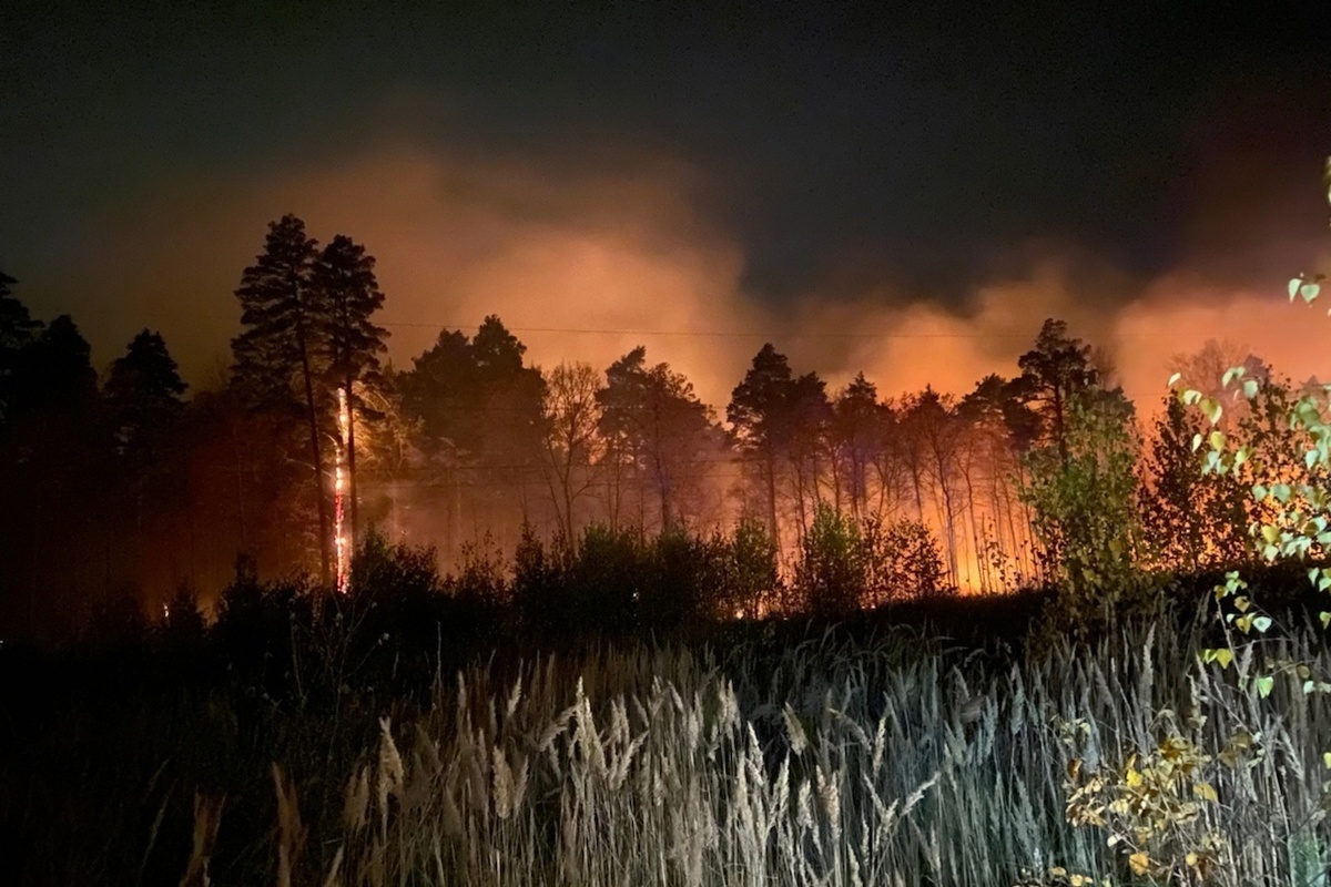 В Пензенской области потушили лесной пожар площадью десять гектаров