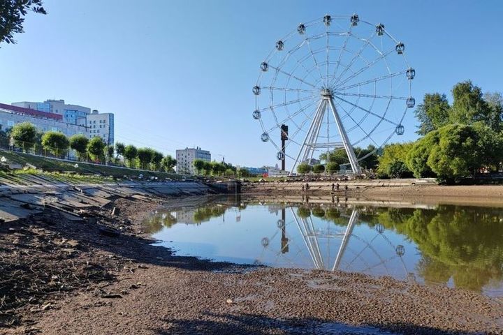 В парке имени Кирова активисты готовят рыбу к перезду в другие водные объекты