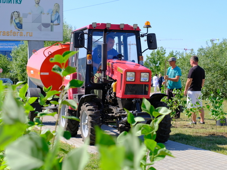  В Калининграде медалисты высадили 150 деревьев сирени