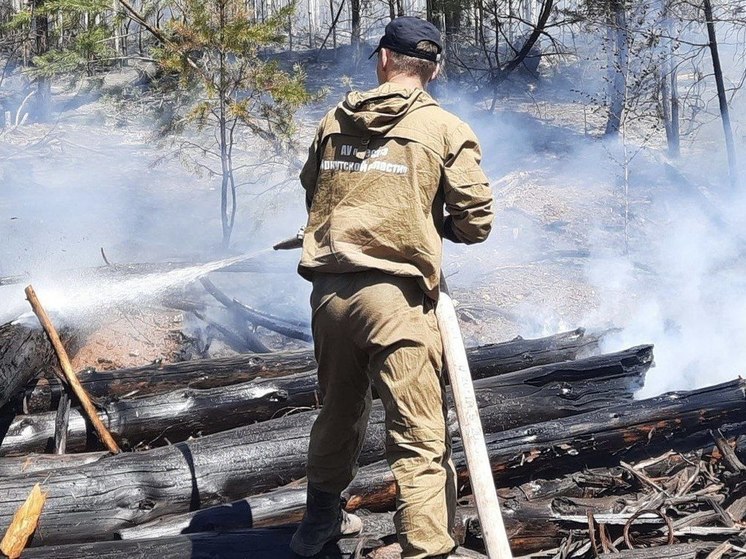 В Приангарье ликвидировали 1 лесной пожар в Усть-Илимском районе