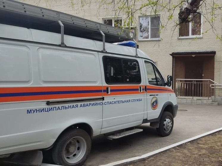 В Новосибирске спасатели помогли годовалой девочке вытащить палец из игрушечной лопатки