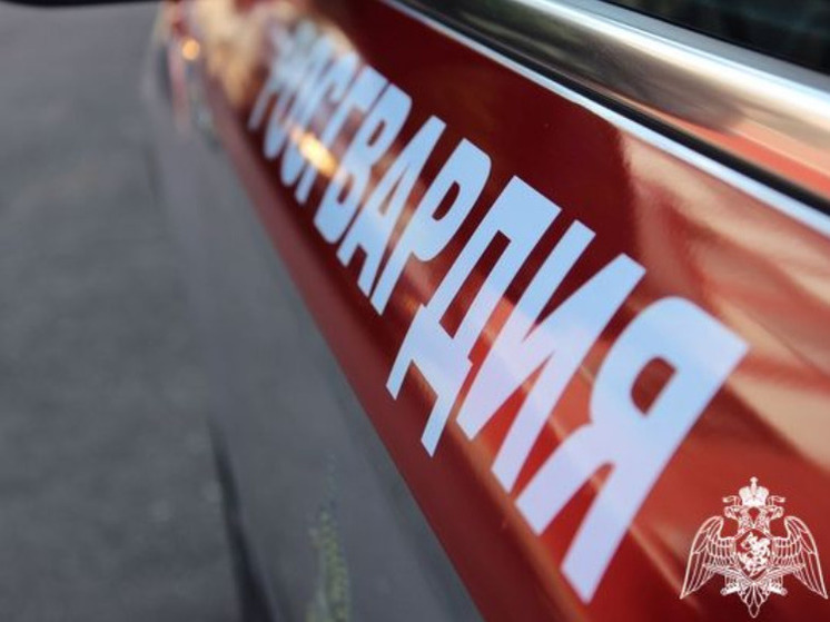 Пьяный дебошир пугал посетителей магазина в городе бумажников Карелии