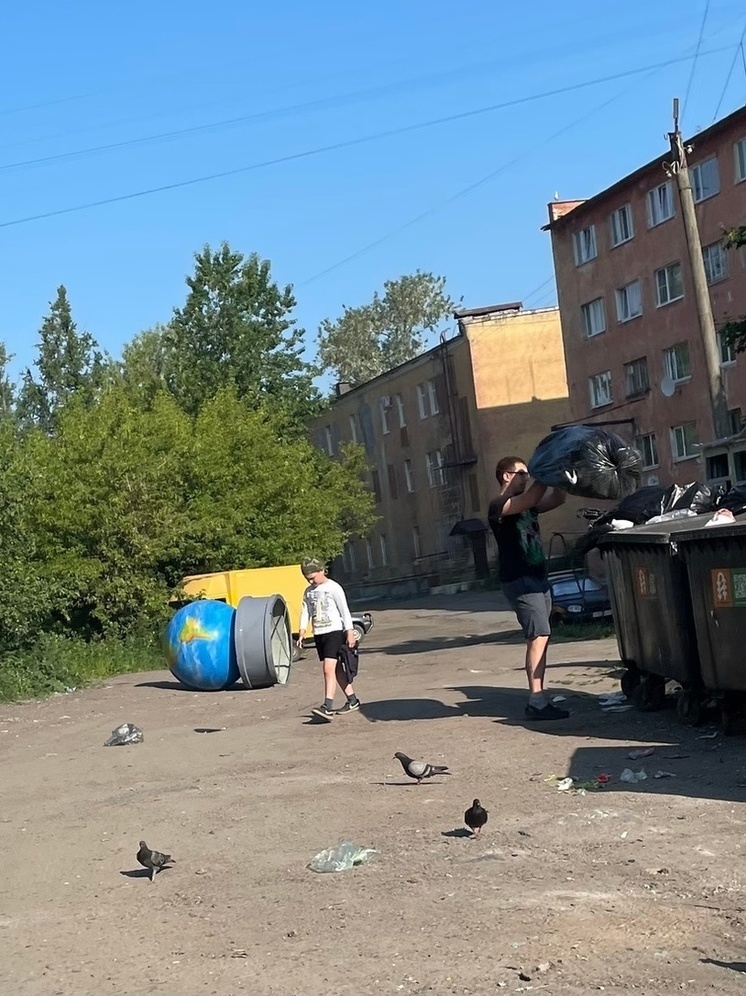 Жители города в Карелии укатили глобус на помойку