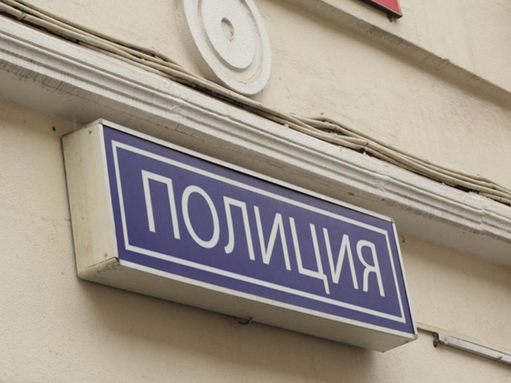 Жительницу Полярных Зорь осудили на 15 лет за убийство сожителя