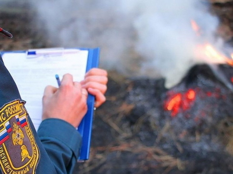 99 жителей Чувашии ответили за нарушения пожарной безопасности в 2023 году