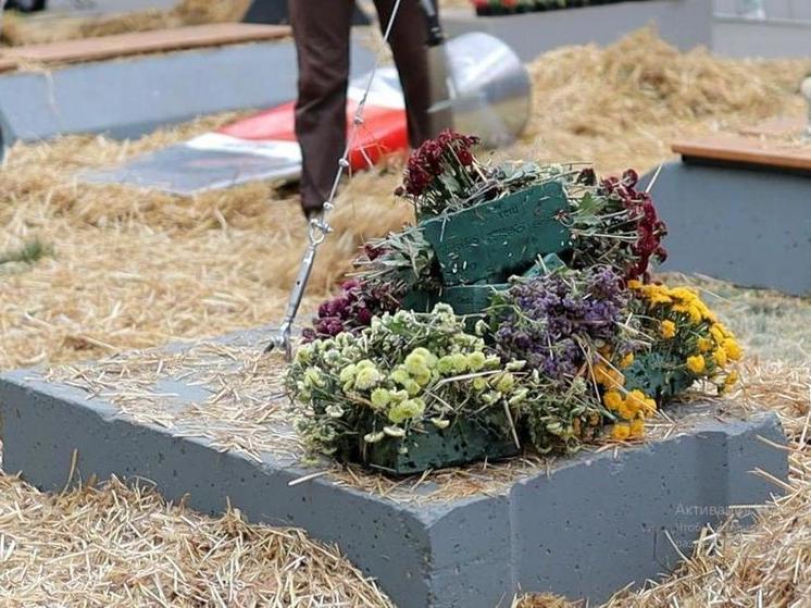 В Новосибирске психолог Плазмин объяснил разгром цветочного фестиваля стадным инстинктом