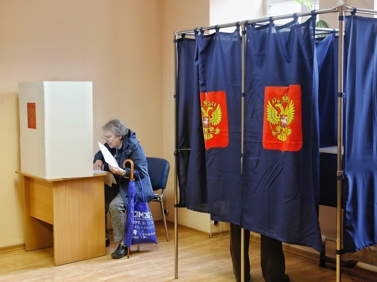 Избирательные кампании Единого дня голосования начались в Новгородской области