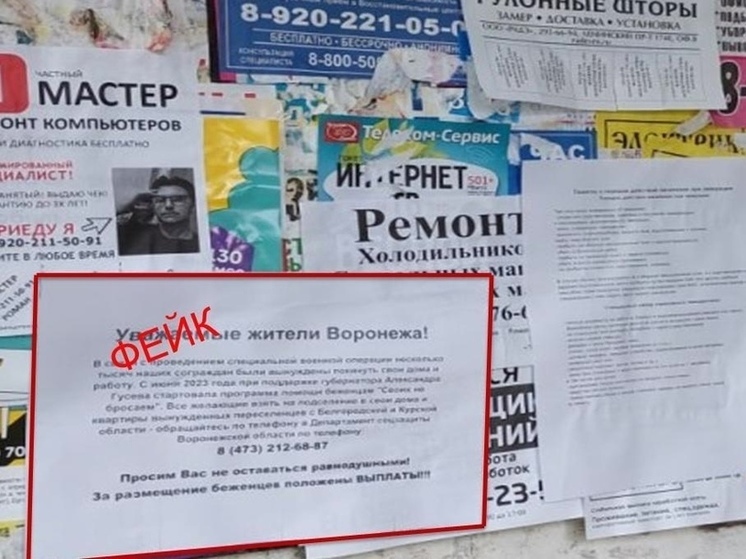 В Воронеже расклеивают фейковые объявления о выплатах за помощь переселенцам от имени департамента соцзащиты