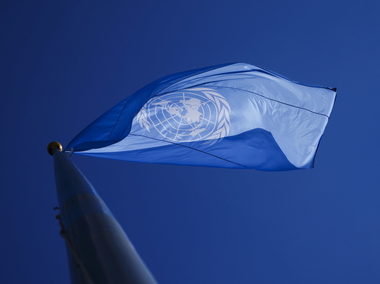 В ООН сообщили, что зафиксирован значительный рост нарушений закона украинскими силовиками