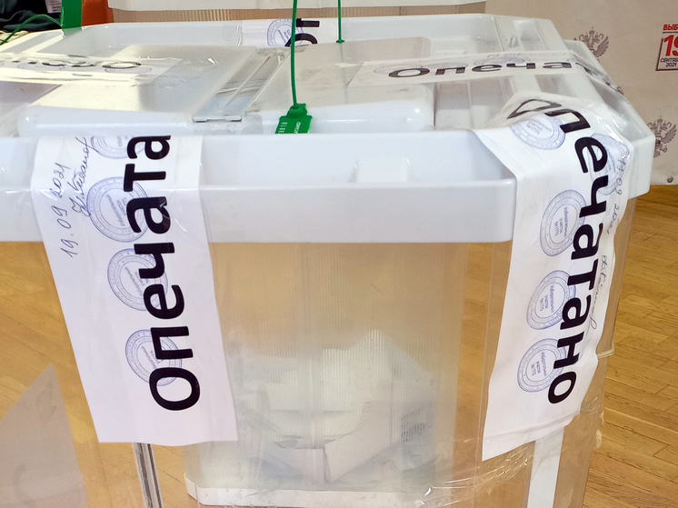 Муниципальные избирательные компании стартовали в Московской области