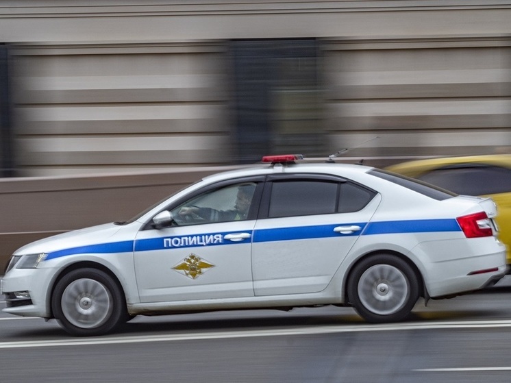 Под Новосибирском перевернулся грузовик после наезда на мертвого лося