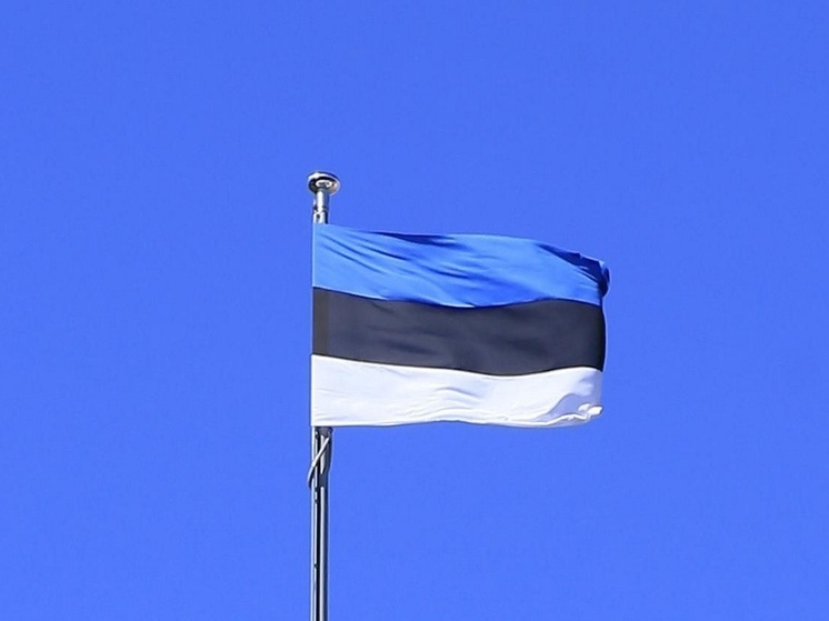 Postimees: в Эстонии подготовили юридическую схему передачи замороженных российских активов Украине