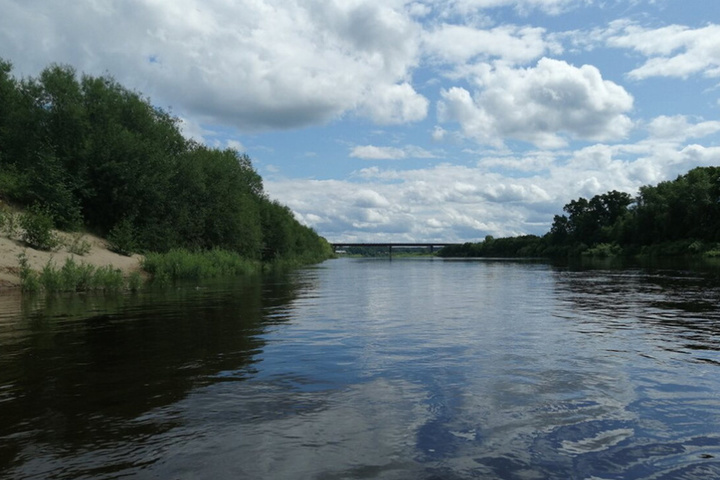 В Мантуровском районе на месяц закроют мост через реку Унжу