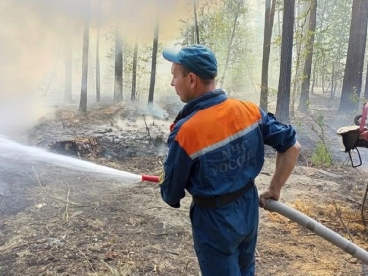 Стали известны детали масштабного лесного пожара в Егорьевском районе