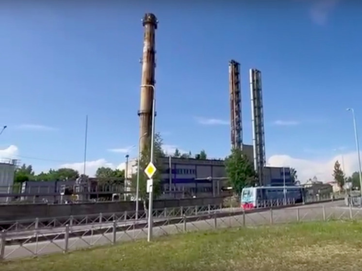 Обзорную вышку сделают из тепловой трубы в Карелии