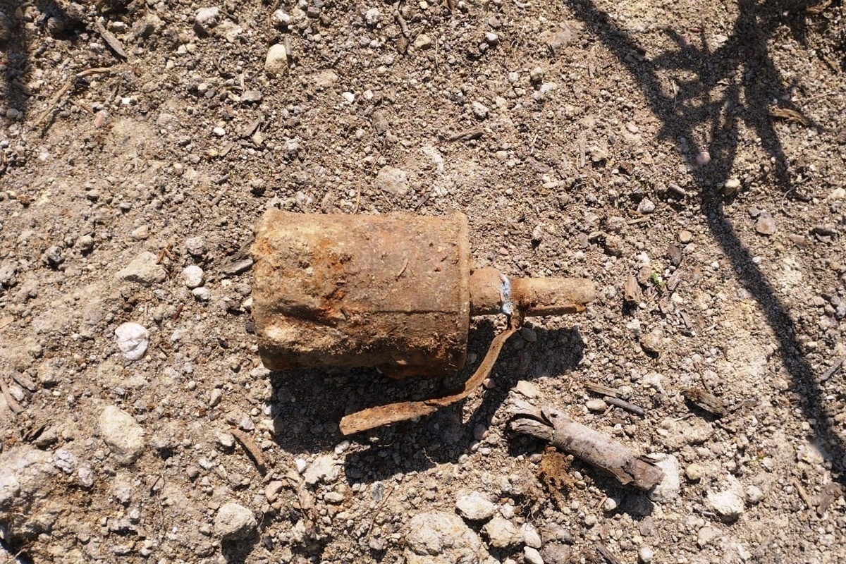 В земле под Выборгом нашли ручную гранату времен Великой Отечественной войны