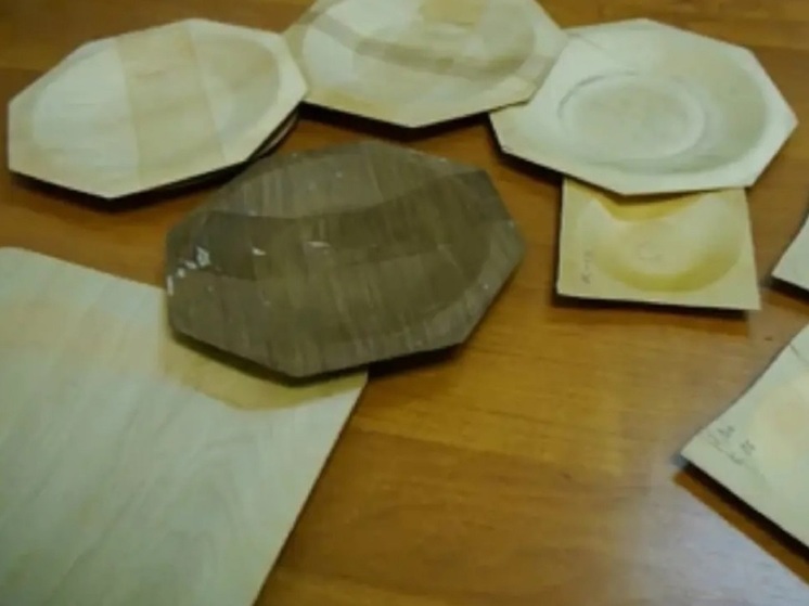 Костромские ноу-хау: выпускник КГУ разработал технологию производства одноразовой посуды из деревянного шпона