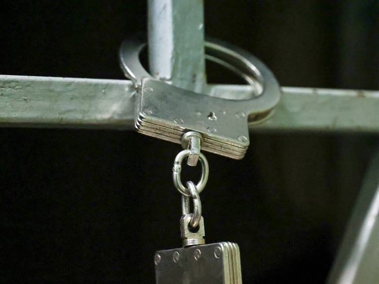 В Новосибирске дали три года интернет-пропагандисту террористической организации