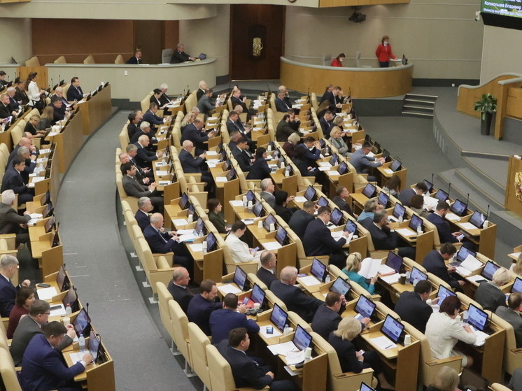 Депутат Куринный заявил о рекордном оттоке капиталов из России