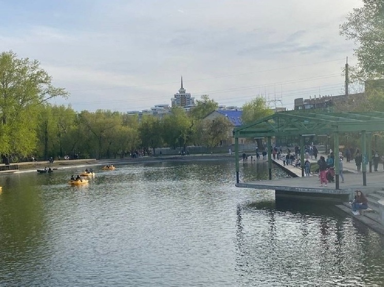 Барнаульская мэрия судится с сыном известного в городе бизнесмена