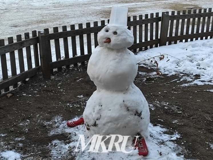 Пункт наблюдения за вечной мерзлотой сделают в Забайкалье по закону от Путина